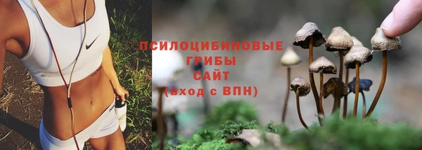 экстази Алексин