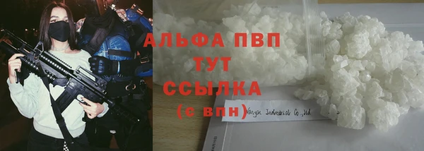 стаф Новозыбков